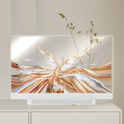 OEM ODM Transparent OLED Screen, 55 Transparent OLED Display