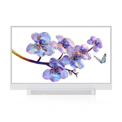 OEM ODM Transparent OLED Screen, 55 Transparent OLED Display