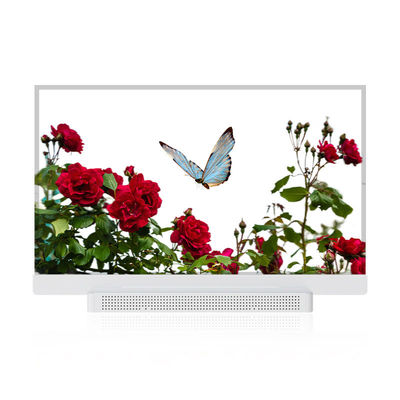 OEM ODM Transparent OLED Screen, 55 Transparent OLED Display
